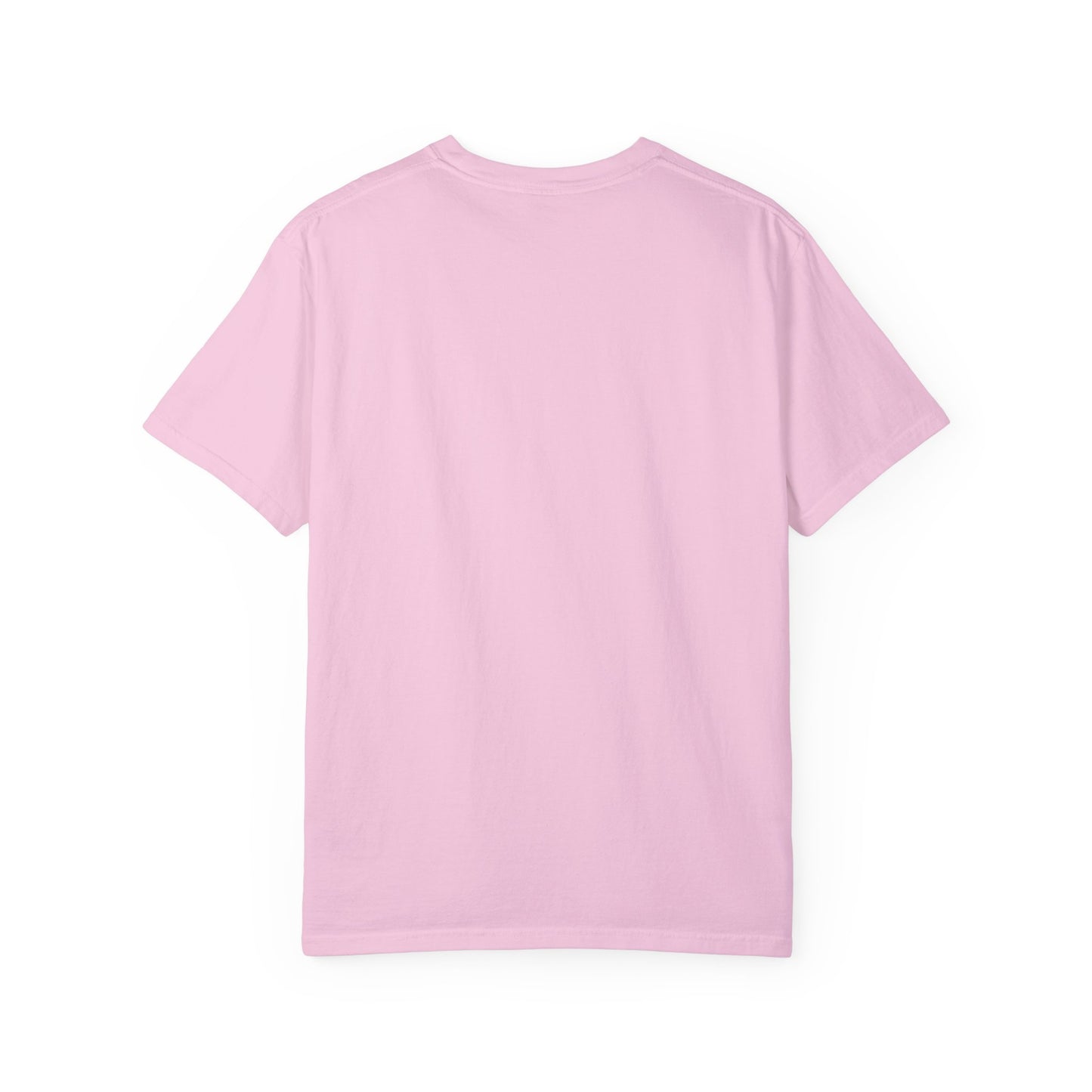 The Lowcountry Book Club Short Sleeve Comfort Colors Tee