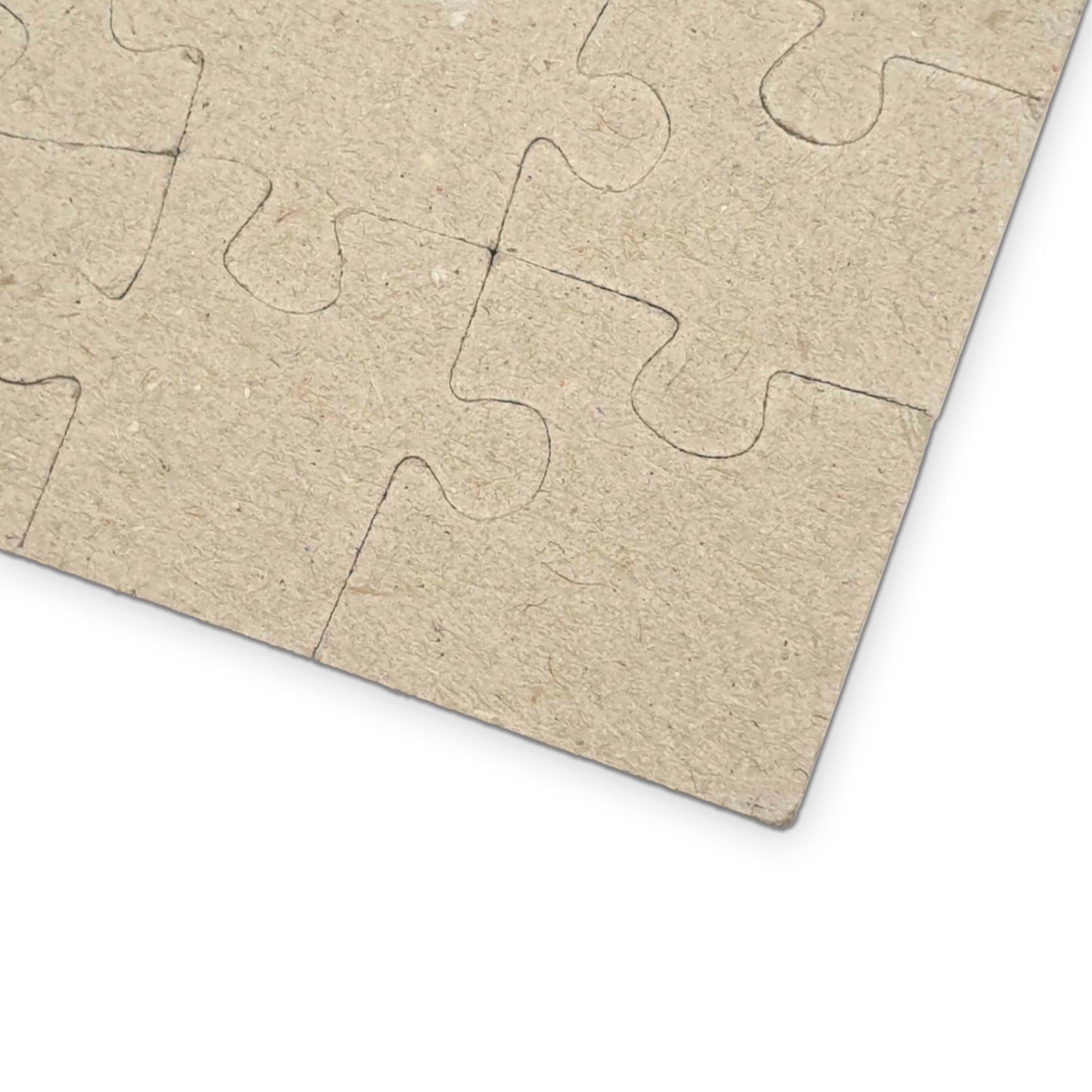 Big Trouble on Sullivan's Island Cover Puzzle
